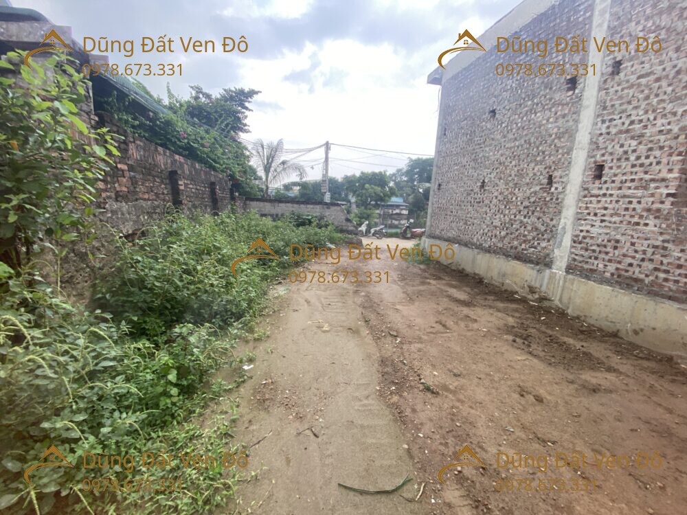 100M THỦY XUÂN TIÊN-CHƯƠNG MỸ-HÀ NỘI-3