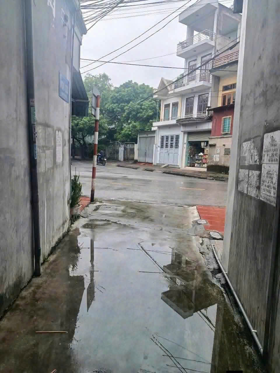 🌵 CHÍNH CHỦ BÁN LÔ ĐẤT ĐẸP NGÕ PHỐ NGUYỄN HỮU CẦU – PHƯỜNG NGỌC CHÂU, TP HẢI DƯƠNG