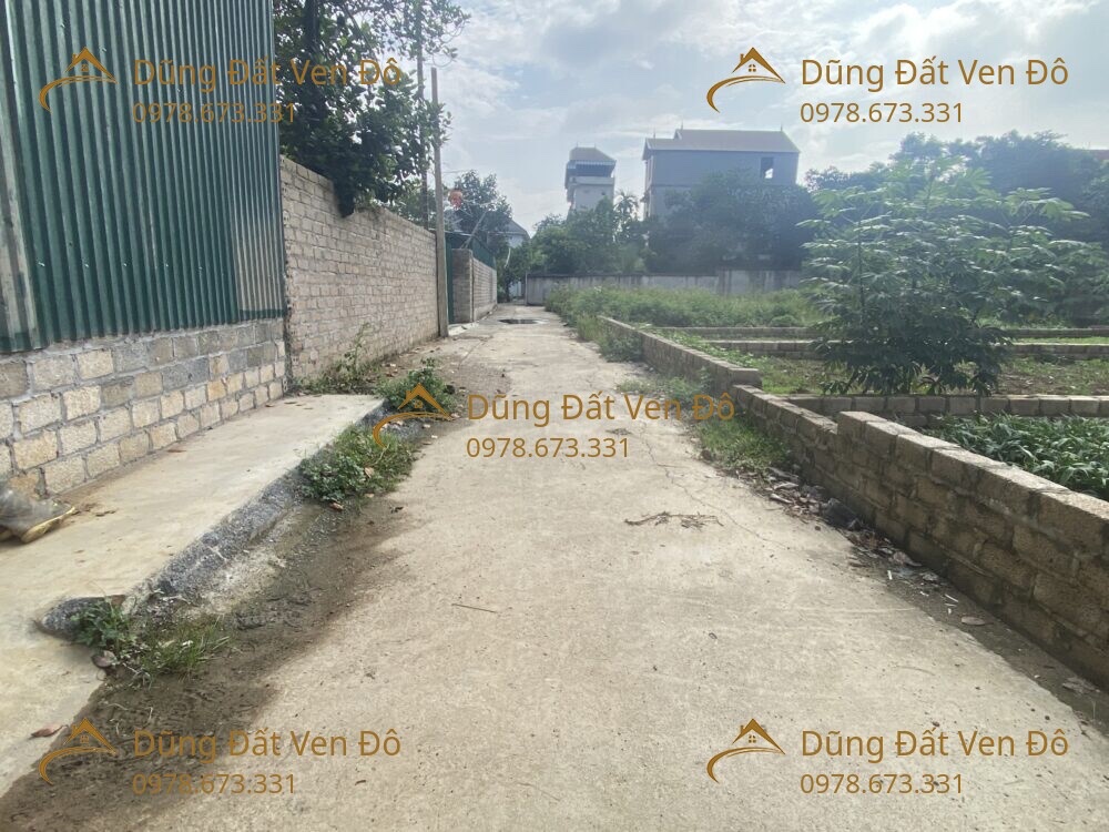260M ĐÔNG SƠN-CHƯƠNG MỸ-HÀ NỘI
