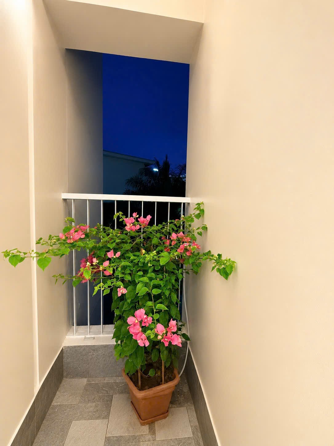 CĂN HỘ ĐẸP - GIÁ TỐT CHÍNH CHỦ CẦN BÁN CĂN HỘ HỒNG HÀ ECO CITY – Giá Nhỉnh 3 TỶ