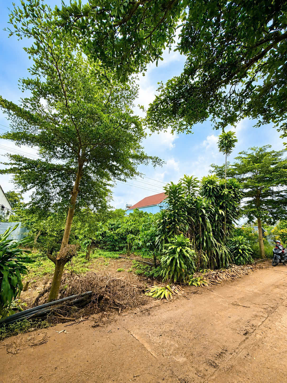 SỞ HỮU NGAY LÔ ĐẤT ĐẸP - GIÁ TỐT - Vị Trí Đắc Địa Tại : Xã Tân Hội - Huyện Đức Trọng - Tỉnh Lâm Đồng