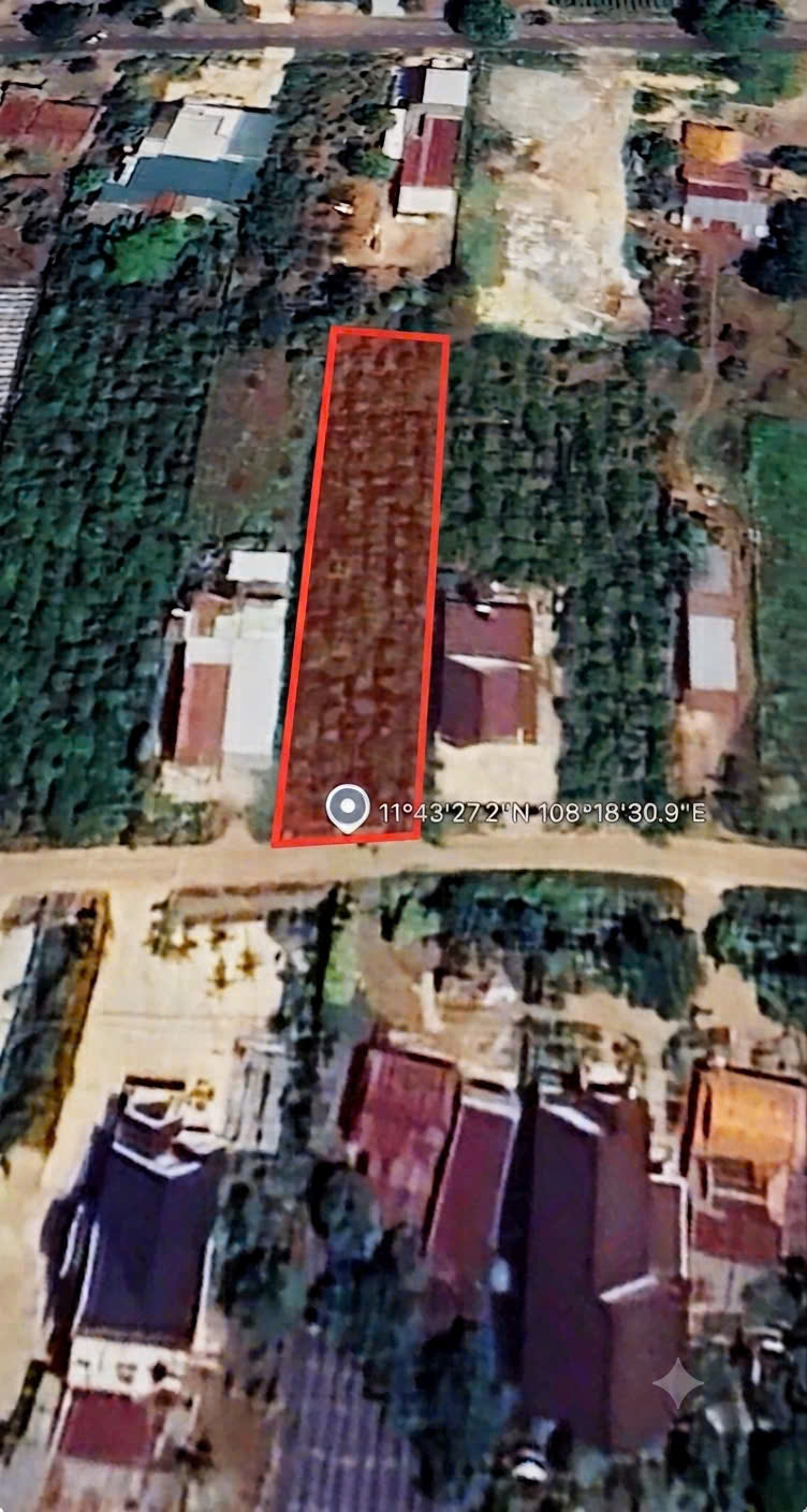 SỞ HỮU NGAY LÔ ĐẤT ĐẸP - GIÁ TỐT - Vị Trí Đắc Địa Tại : Xã Tân Hội - Huyện Đức Trọng - Tỉnh Lâm Đồng-3
