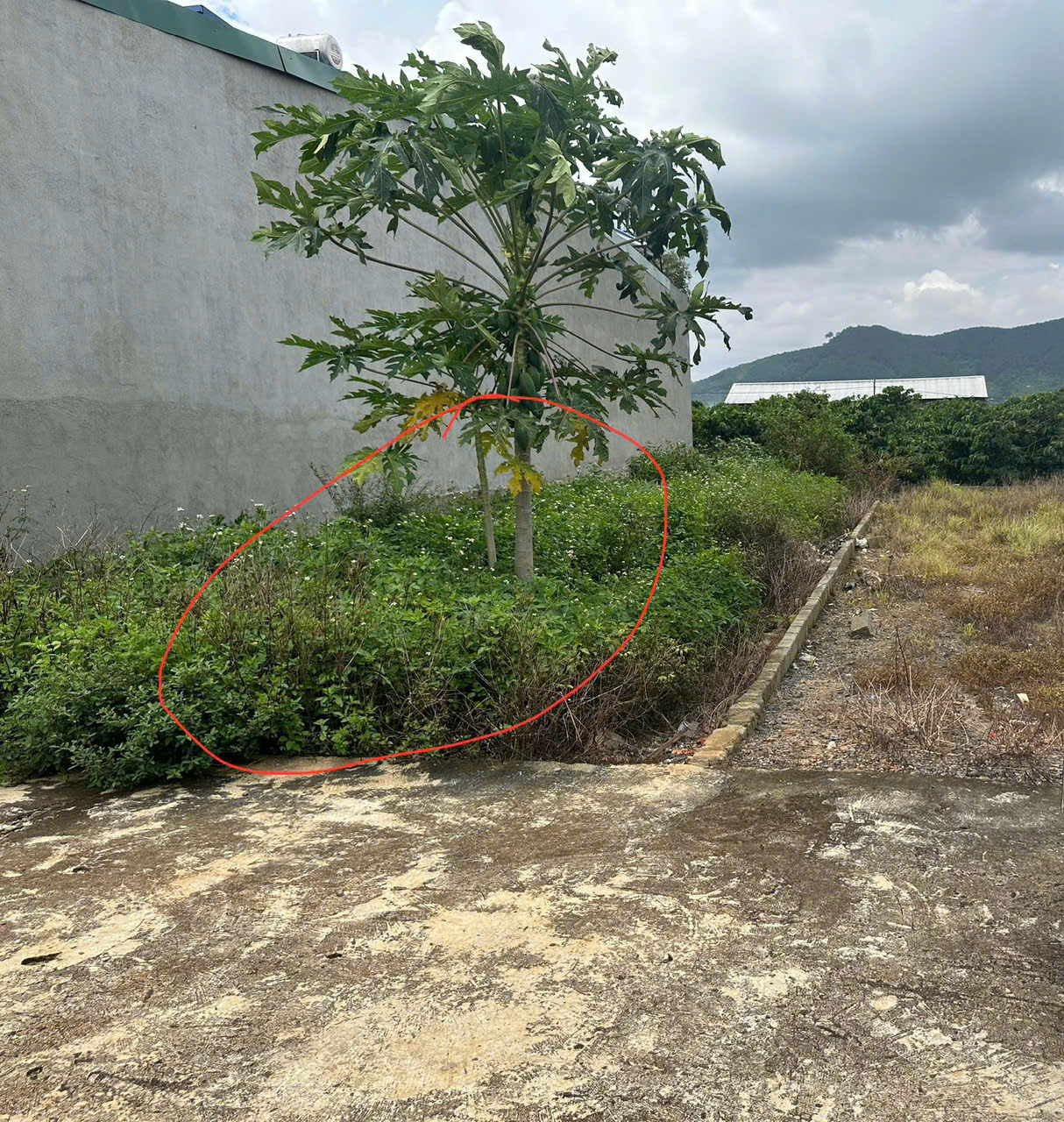Bán đất 115m2 An Hiệp Liên Hiệp Đức Trọng  Lâm Đồng Giá Chỉ 900 triệu-3