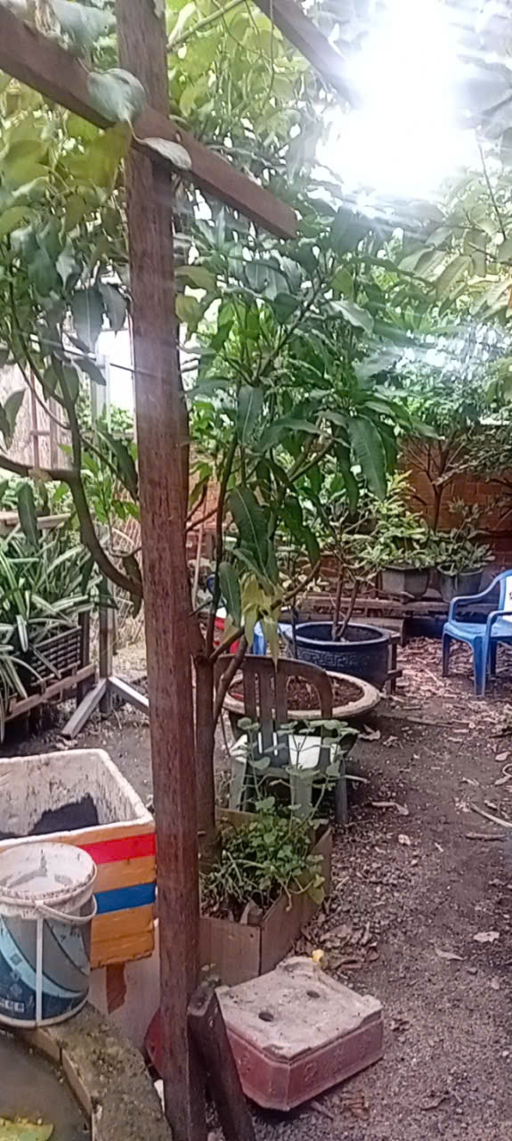 Chính chủ bán nhà mặt tiền đường TX52, phường Thạnh Xuân, Quận 12, TP.HCM - Vị trí đẹp dễ khai thác