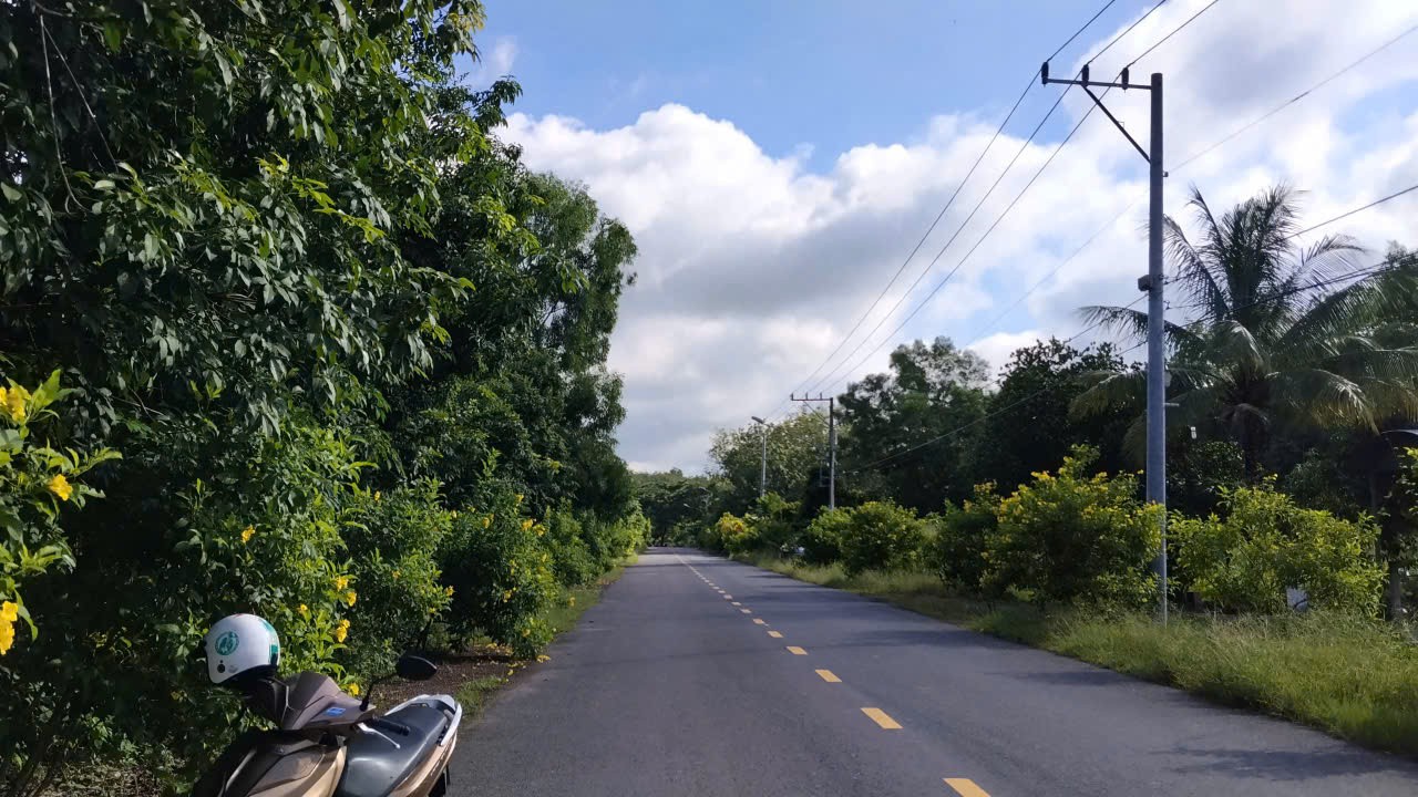 ĐẤT ĐẸP- GIÁ TỐT BÁN NHANH 2 LÔ ĐẤT ĐẦU TƯ LÀ SINH LỜI tại huyện Bàu Bàng, Bình Dượng