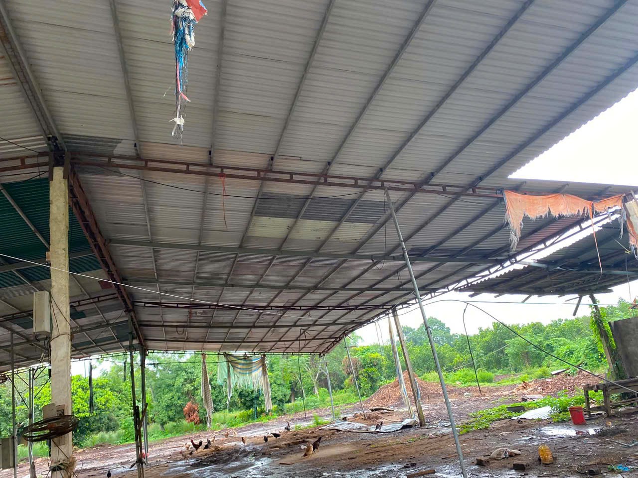 ĐẦU TƯ SINH LỜI – CHÍNH CHỦ CẦN Bán Đất xã Thạch Sơn, Huyện Thạch Thành, Thanh Hóa.