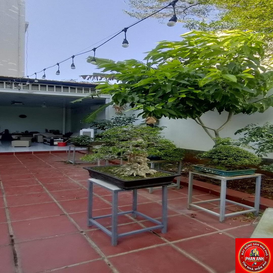 Có lô đất rất nhiều tâm huyết, nhưng vì đổi kế hoạch nên vẫn phải bán. Đường gần 16m. 160m². Chỉ...-3