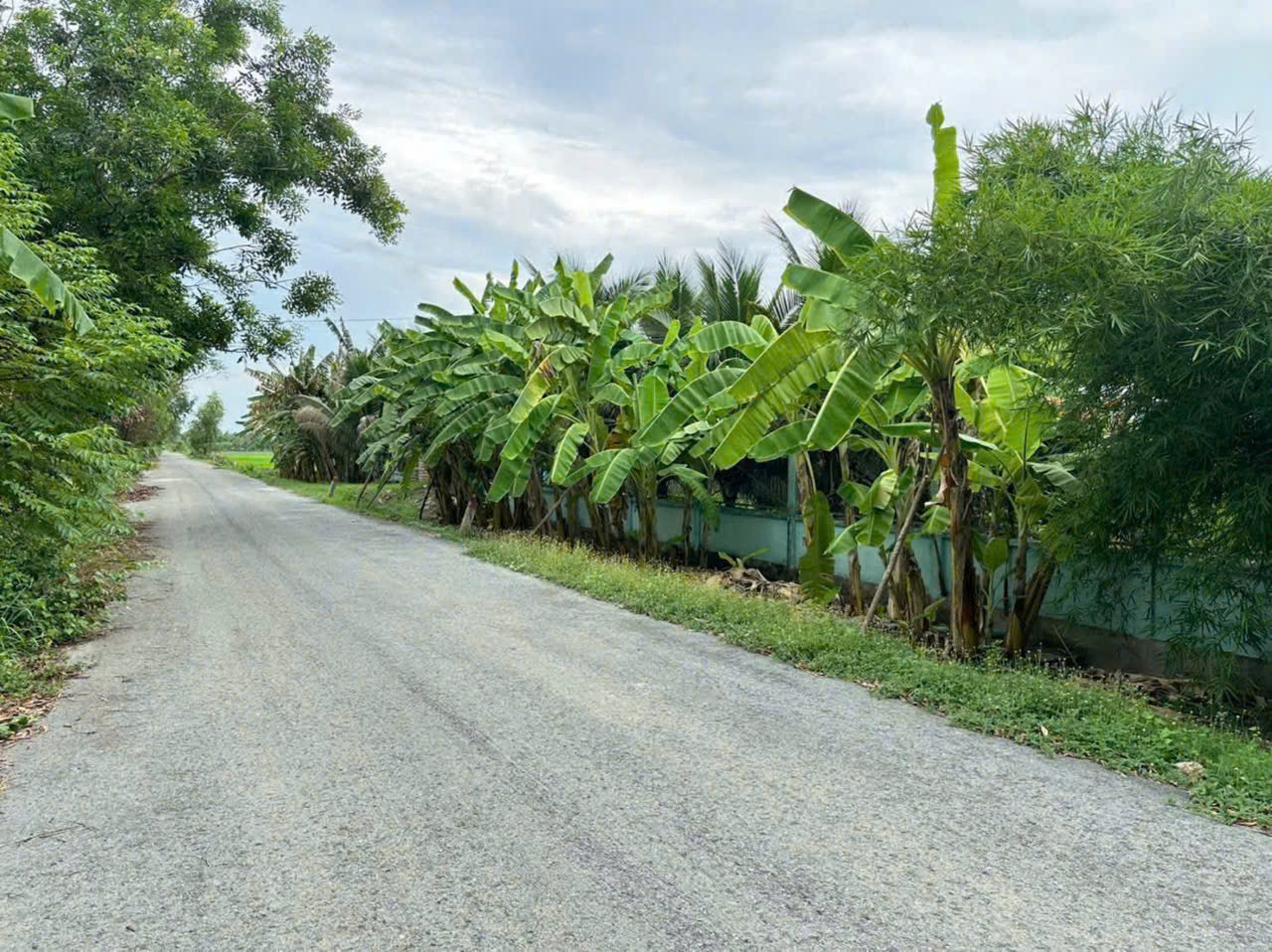 NGỘP CẮT LỖ! 6.000M² ĐẤT CỦ CHI CHỈ 1 TRIỆU/M² – GIÁ CHỐT 6 TỶ-4