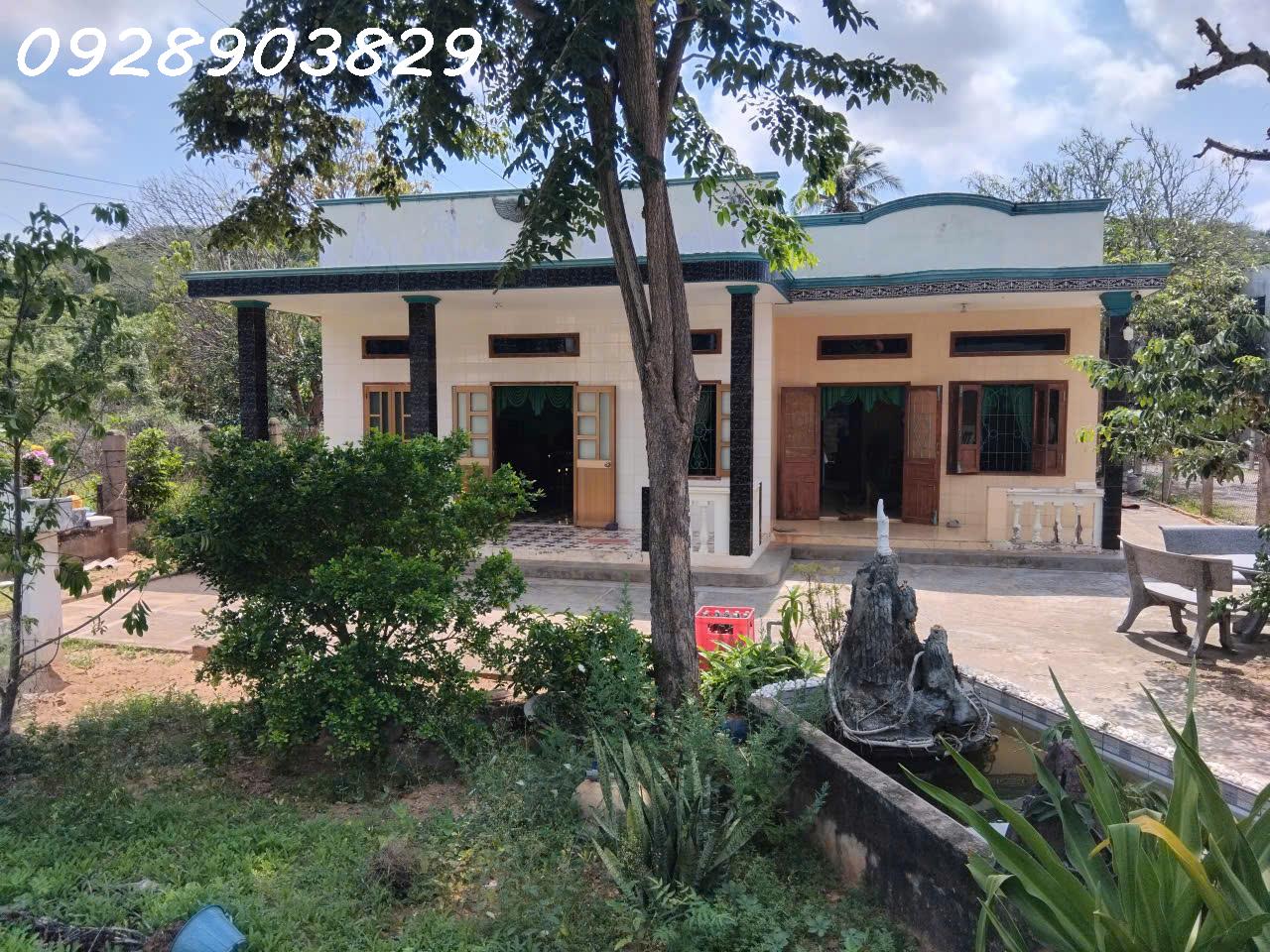 Cần bán gấp 1067m2 đất tại Lạc Long Quân, Tiến Thành, TP. Phan Thiết, giá bán 16 tỷ, hh 2%-1