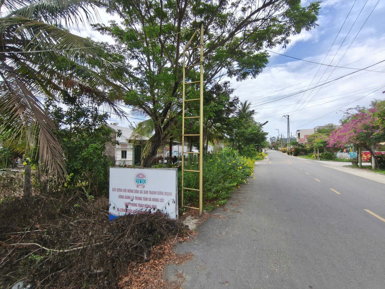 Bán Đất Thôn Thượng Thanh, Tam Thanh, Tam Kỳ, Quảng nam