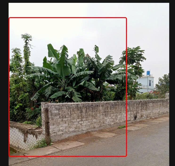 ĐẤT CHÍNH CHỦ - LÔ GÓC MẶT TIỀN 8M - Thôn An Ấp, Xã An Ấp, Huyện Quỳnh Phụ - Tỉnh Thái Bình