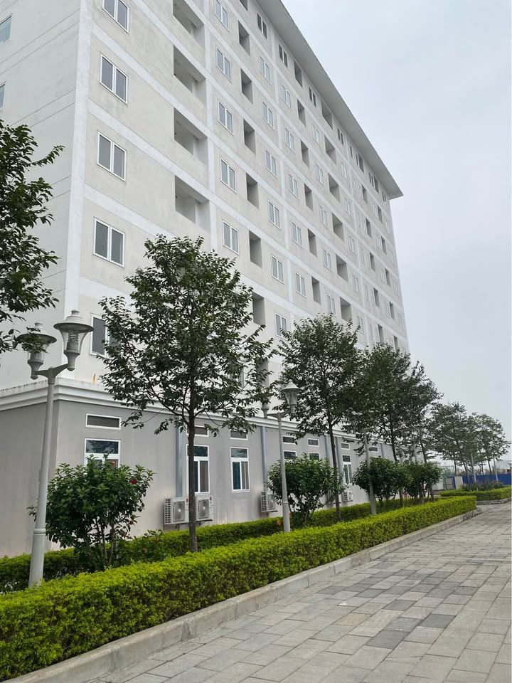 Nhà ở xã hội taị thành phố Thanh Hóa, tháng 12/2026 nhận nhà mới