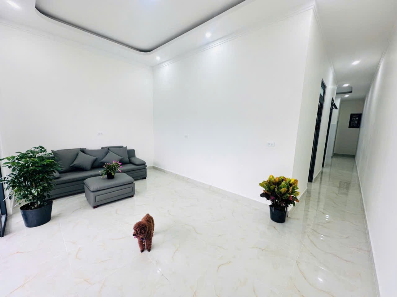 HOT HOT – CHÍNH CHỦ CẦN BÁN NHÀ TẠI Hẻm 27 Lê Hồng Phong, Phường 4, TP. Đà Lạt, tỉnh Lâm Đồng.