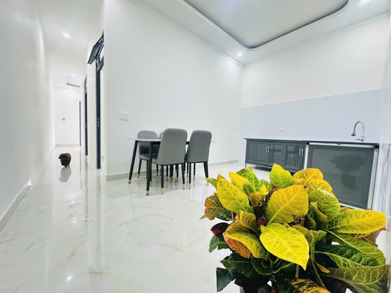 HOT HOT – CHÍNH CHỦ CẦN BÁN NHÀ TẠI Hẻm 27 Lê Hồng Phong, Phường 4, TP. Đà Lạt, tỉnh Lâm Đồng.