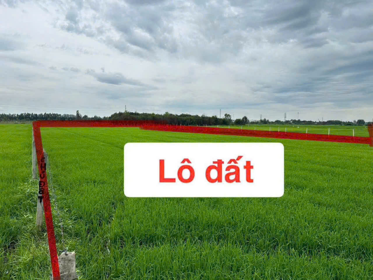 NGỘP CẮT LỖ! 6.000M² ĐẤT CỦ CHI CHỈ 1 TRIỆU/M² – GIÁ CHỐT 6 TỶ