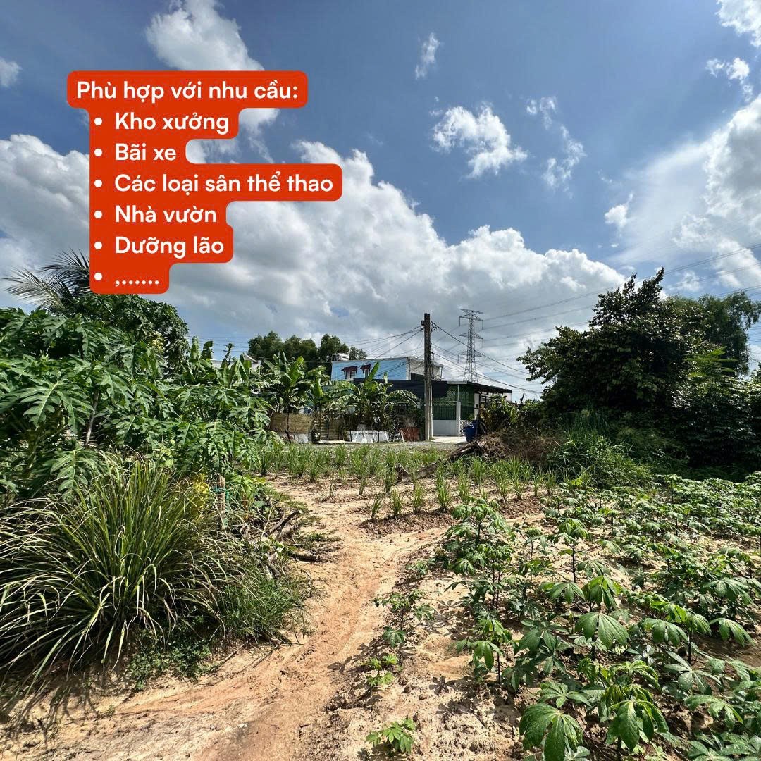ĐẤT ĐẸP – GIÁ TỐT – CHÍNH CHỦ CẦN CHO THUÊ HOẶC BÁN ĐẤT LỚN 18000m2 (1,8ha) XÃ BÌNH MỸ, TPHCM-3