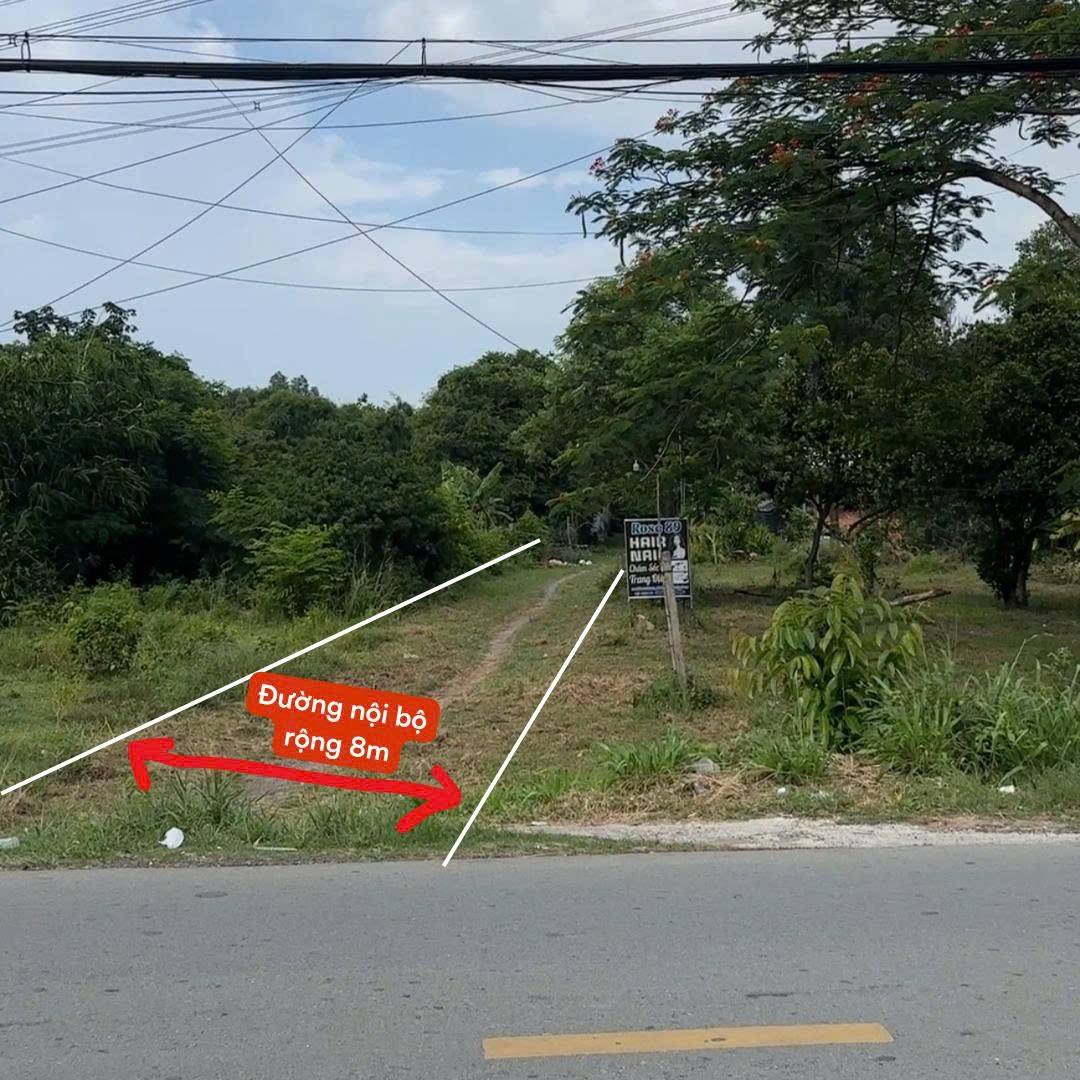 ĐẤT ĐẸP – GIÁ TỐT – CHÍNH CHỦ CẦN CHO THUÊ HOẶC BÁN ĐẤT LỚN 18000m2 (1,8ha) XÃ BÌNH MỸ, TPHCM-4