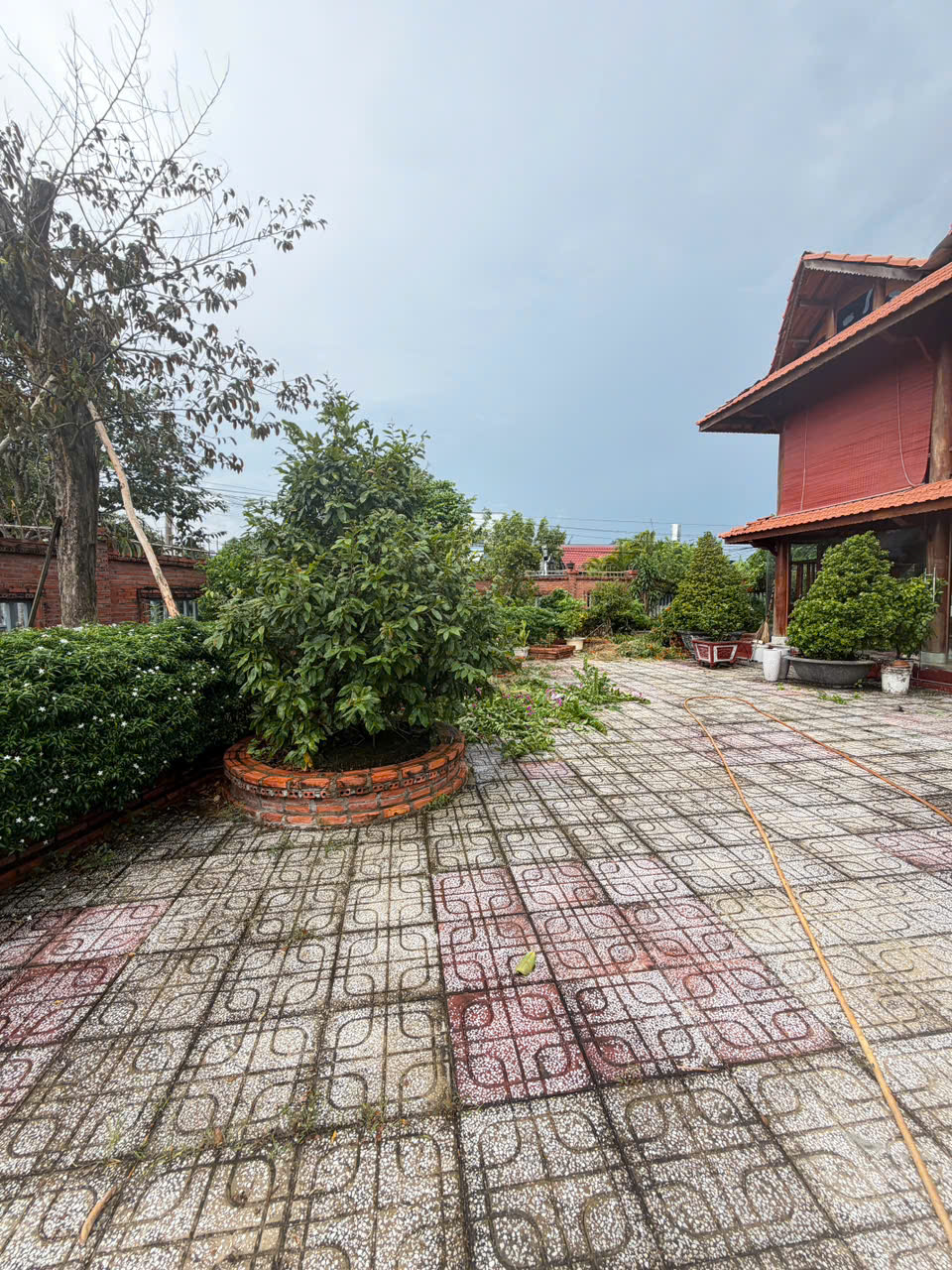 NHÀ ĐẸP–GIÁ TỐT–CHÍNH CHỦ Cần Bán Nhanh Căn Nhà Gỗ Xã Mỹ Lộc, Huyện Cần Giuộc, Long An.-3