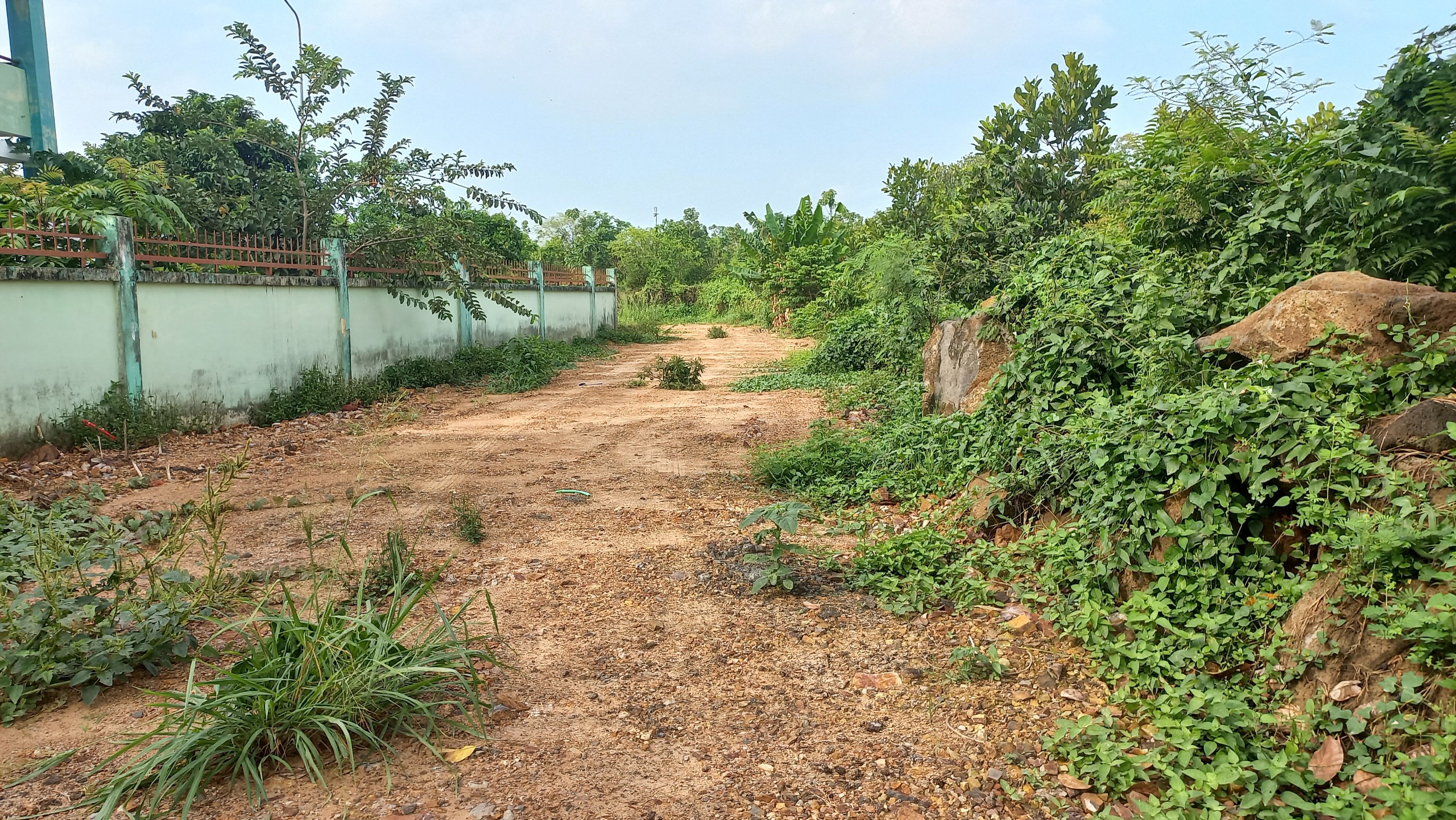 Bán 1000m Đất Mặt Tiền Tà Lài xã Phú Lộc, huyện Tân Phú, Đồng Nai - Quy Hoạch Đất Ở-3