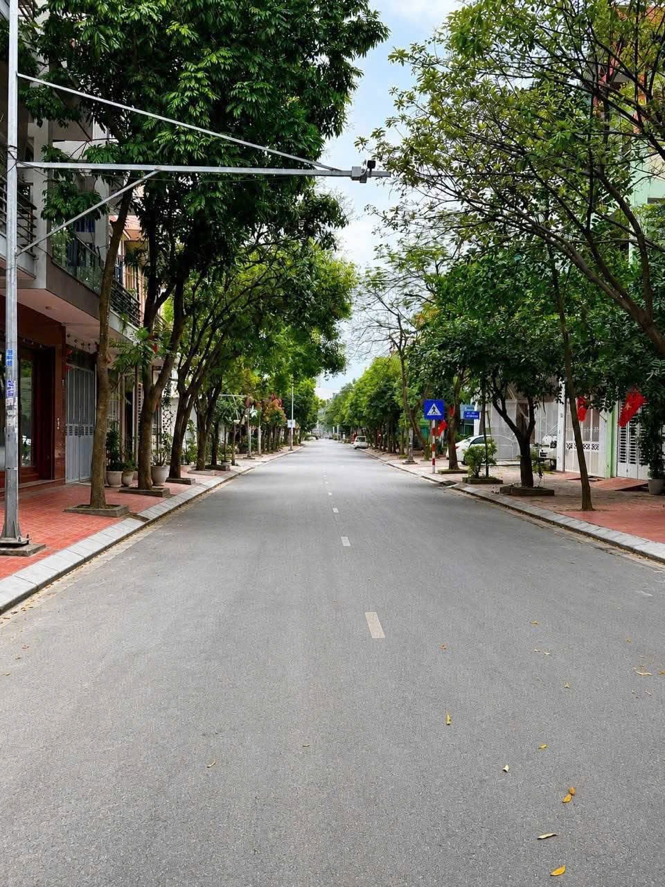 Đất Mặt Phố Ngô Hoán KĐT Đông Nam Cường 88m2 Giá 4.x tỷ