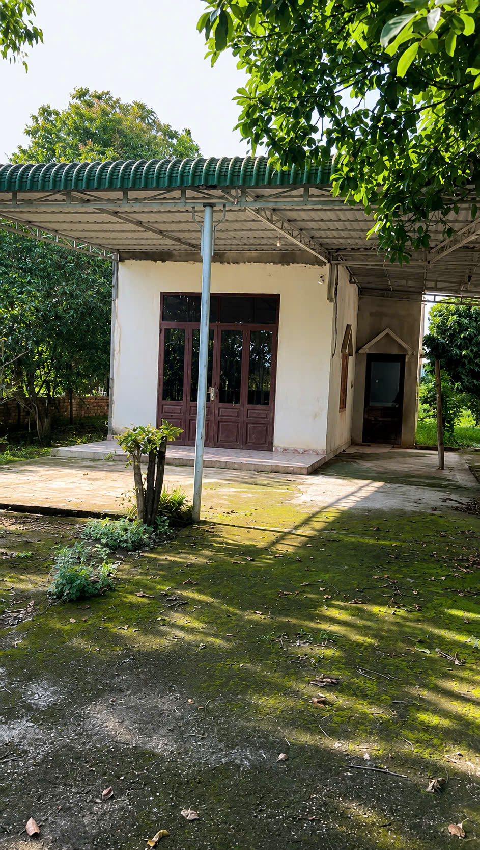 CHO THUÊ NHÀ VƯỜN 770M² – BỎ PHỐ VỀ VƯỜN CHỈ 2 TRIỆU/THÁNG