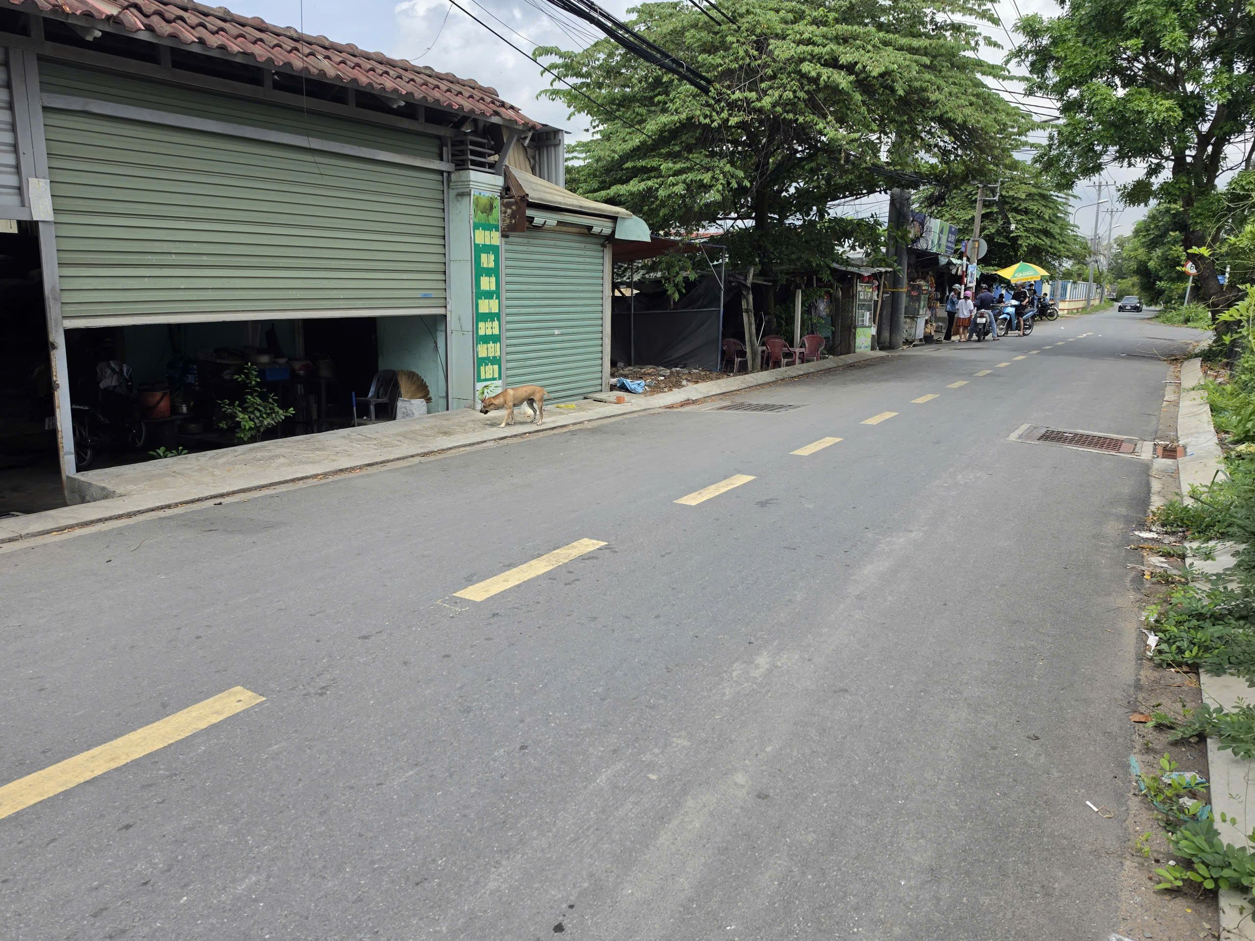 CẦN BÁN NHÀ NHỎ 141M2 5X27 MT ĐƯỜNG BÔNG VĂN DĨA