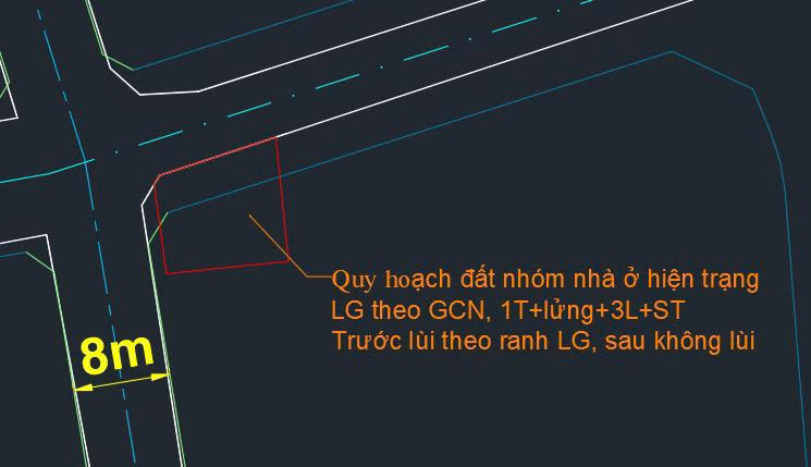 Bán Lô Đất Góc 2 Mặt Tiền Đường Số 9, Phường Hiệp Bình Phước, Thành Phố Thủ Đức-3