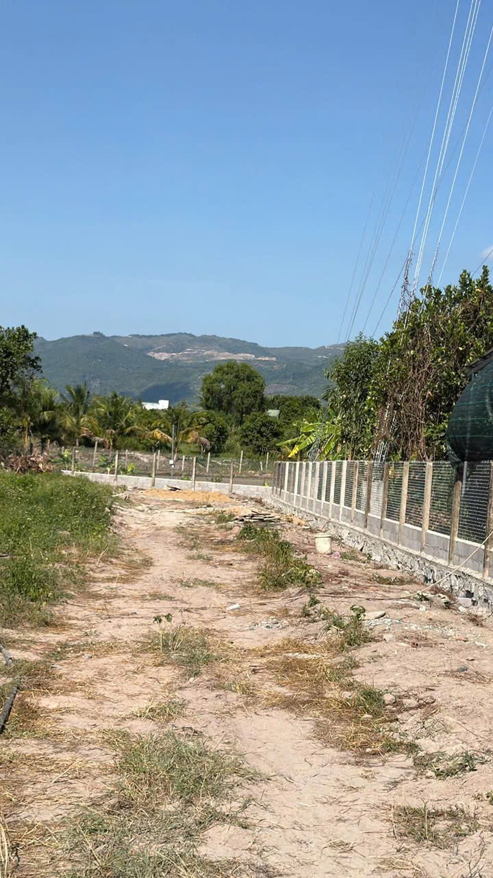 ĐẦU TƯ SINH LỜI – CHÍNH CHỦ CẦN BÁN ĐẤT Tại Thôn Tân Thành, xã Suối Hiệp, tỉnh Khánh hòa