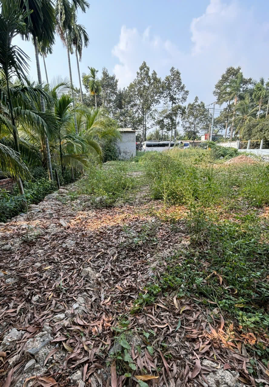 BÁN ĐẤT THỔ CƯ HẺM PHAN BỘI CHÂU – VỊ TRÍ ĐẸP, GIÁ TỐT.