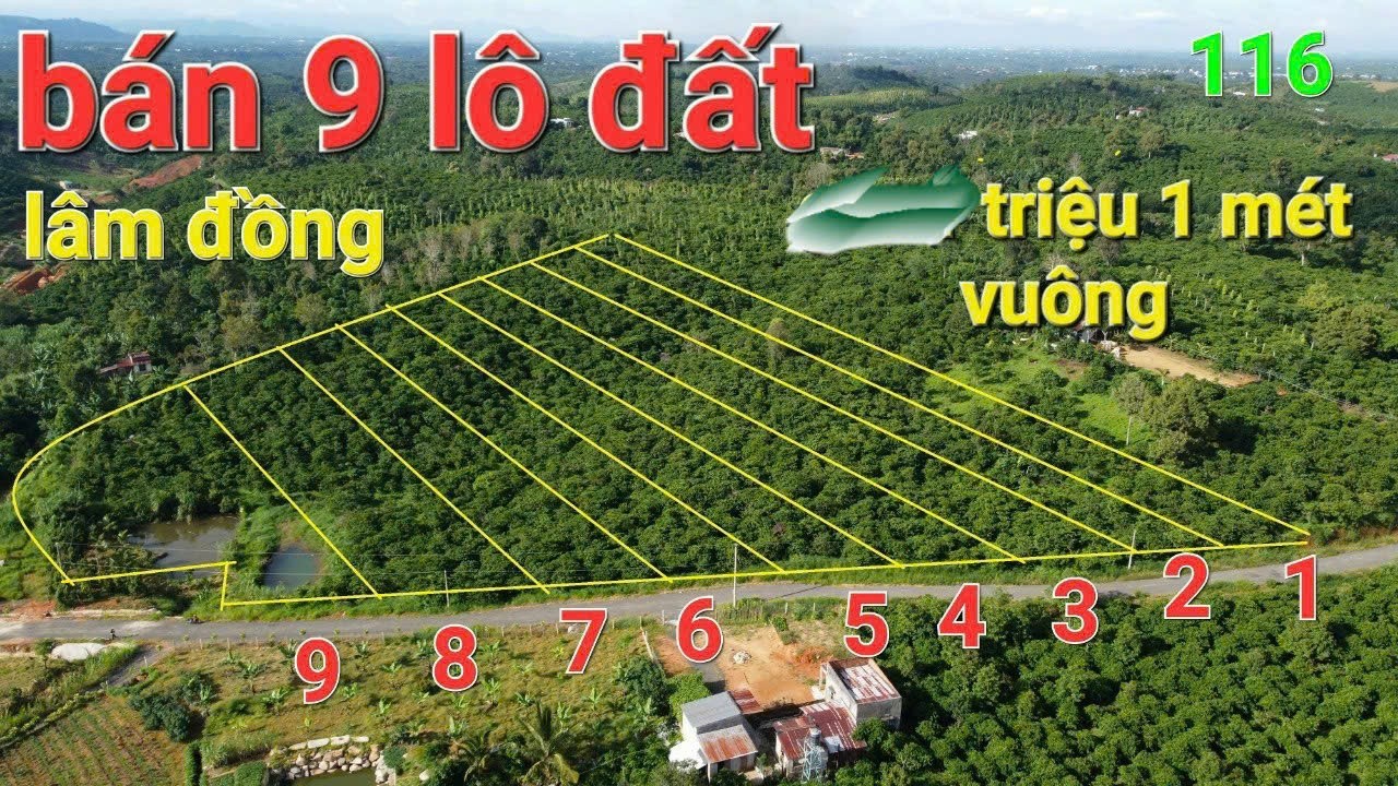 HOT HOT – CHÍNH CHỦ CẦN BÁN 9 LÔ ĐẤT VIEW ĐỒI TẠI Thôn Đông La 2, xã Lộc Đức, Bảo Lâm, Lâm Đồng.