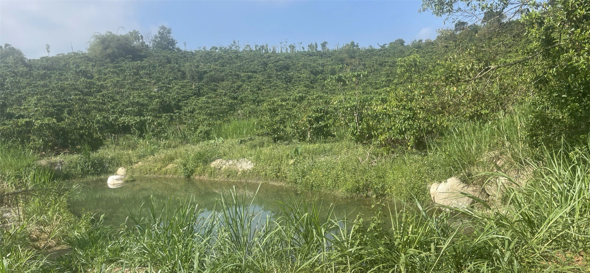 HOT HOT – CHÍNH CHỦ CẦN BÁN 9 LÔ ĐẤT VIEW ĐỒI TẠI Thôn Đông La 2, xã Lộc Đức, Bảo Lâm, Lâm Đồng.