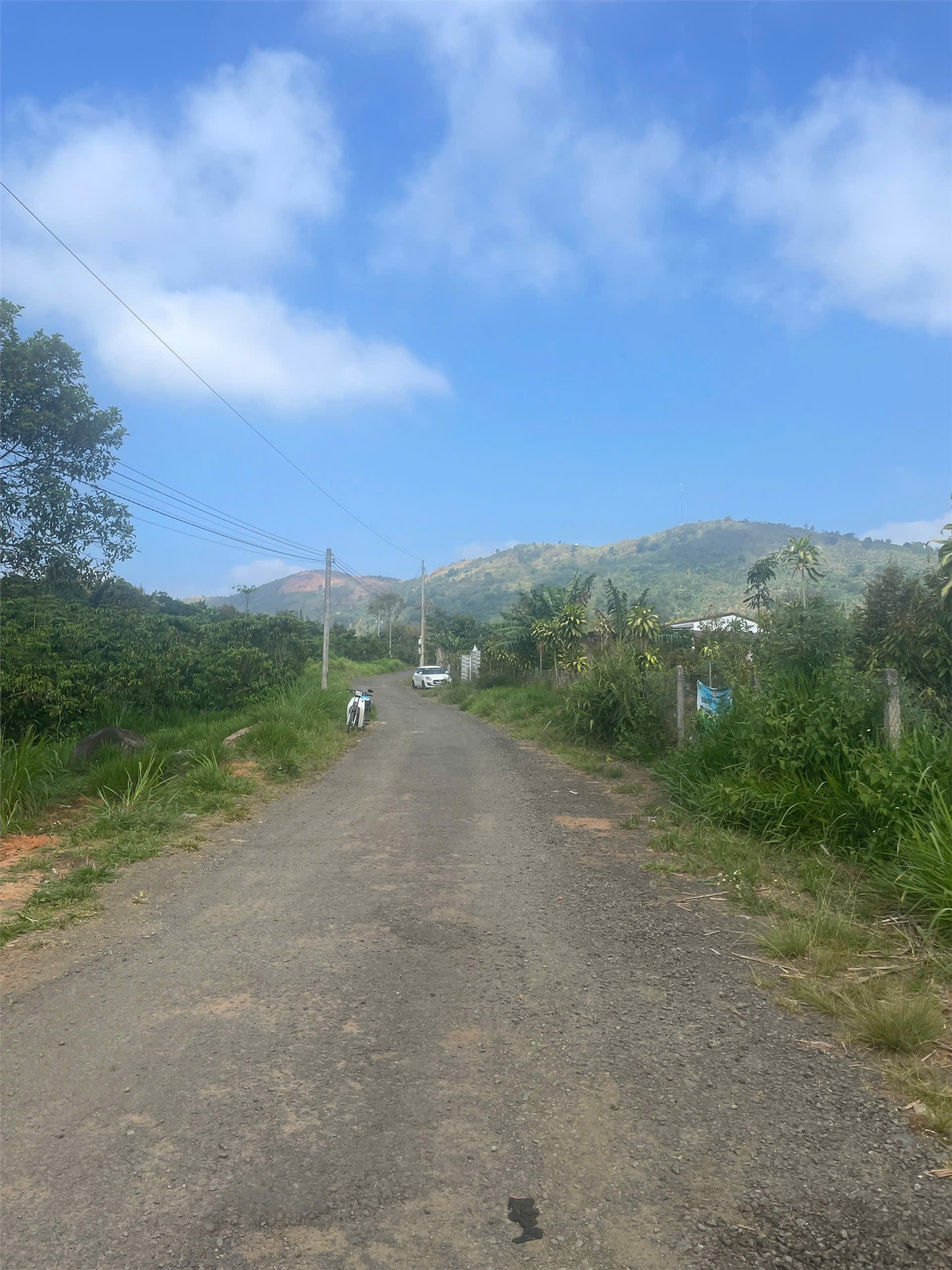 HOT HOT – CHÍNH CHỦ CẦN BÁN 9 LÔ ĐẤT VIEW ĐỒI TẠI Thôn Đông La 2, xã Lộc Đức, Bảo Lâm, Lâm Đồng.-3