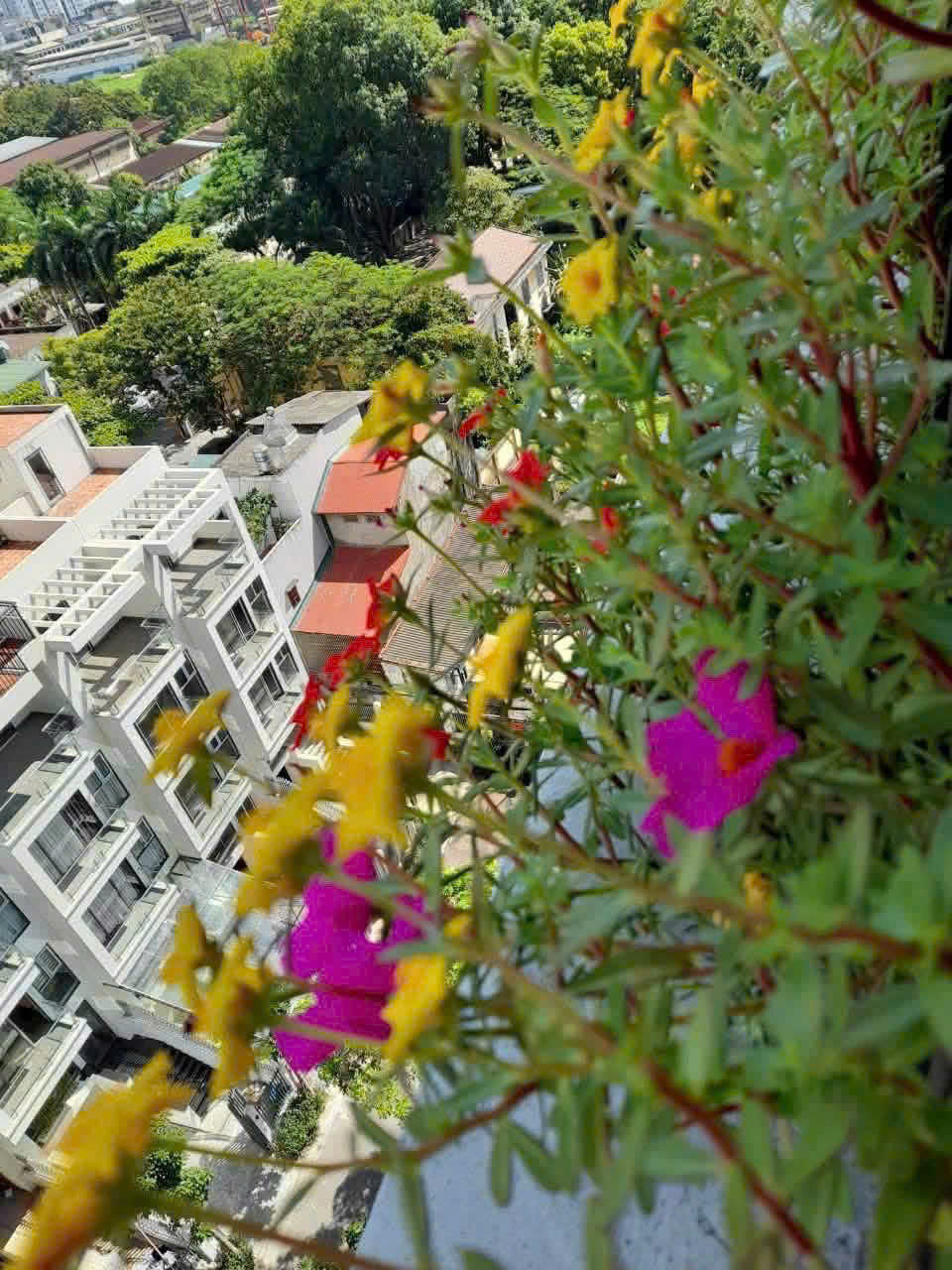 BÁN CĂN HỘ CHUNG CƯ 54 HẠ ĐÌNH , THANH XUÂN, HÀ NỘI 
– NHÀ ĐẸP, FULL NỘI THẤT, CHỈ VIỆC DỌN VÀO Ở-4