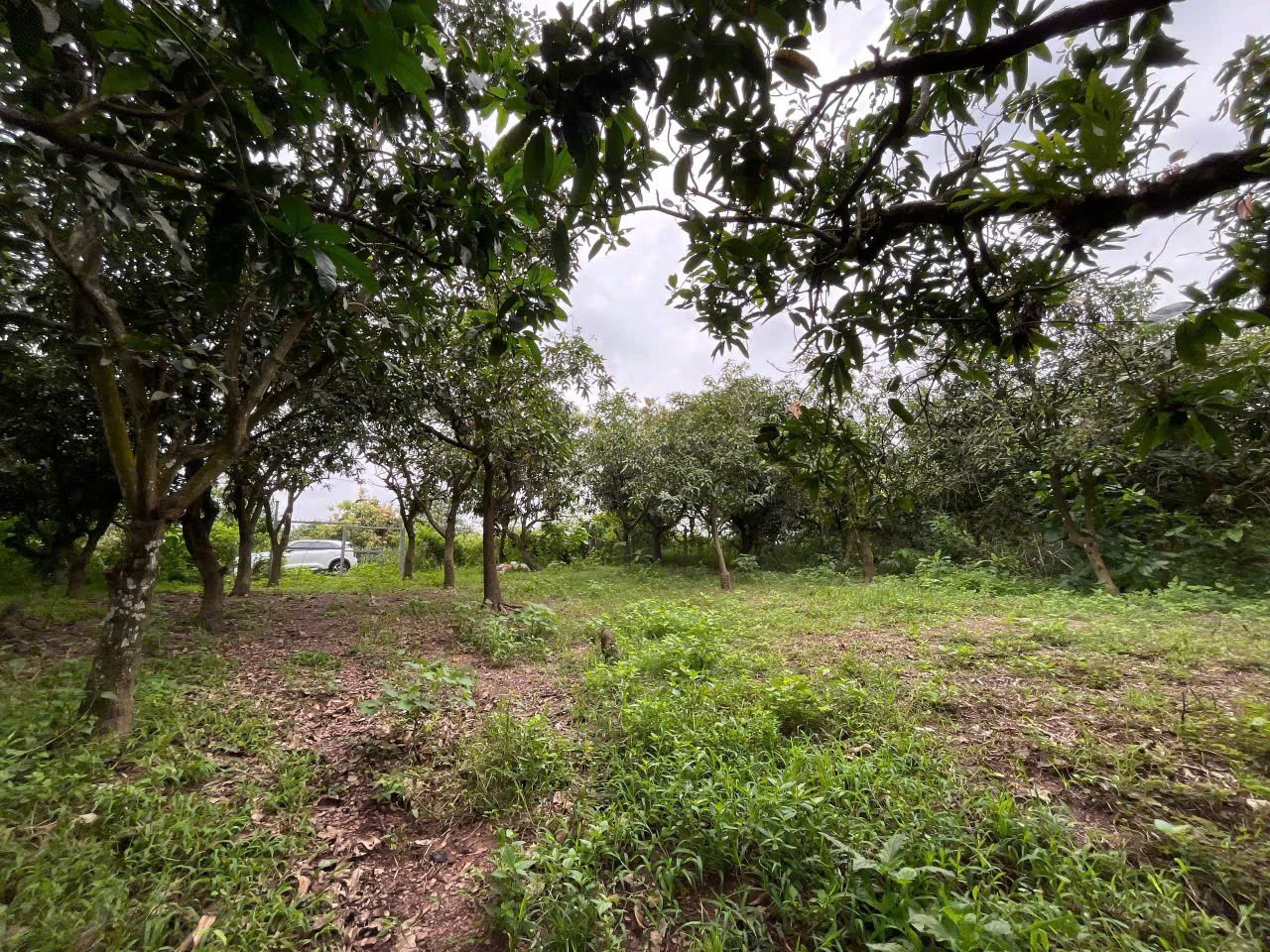 ĐẤT ĐẸP - ĐẦU TƯ SINH LỜI - Chính Chủ Cần Bán Lô Đất Tại Xã Túc Trưng, Định Quán, Đồng Nai-4
