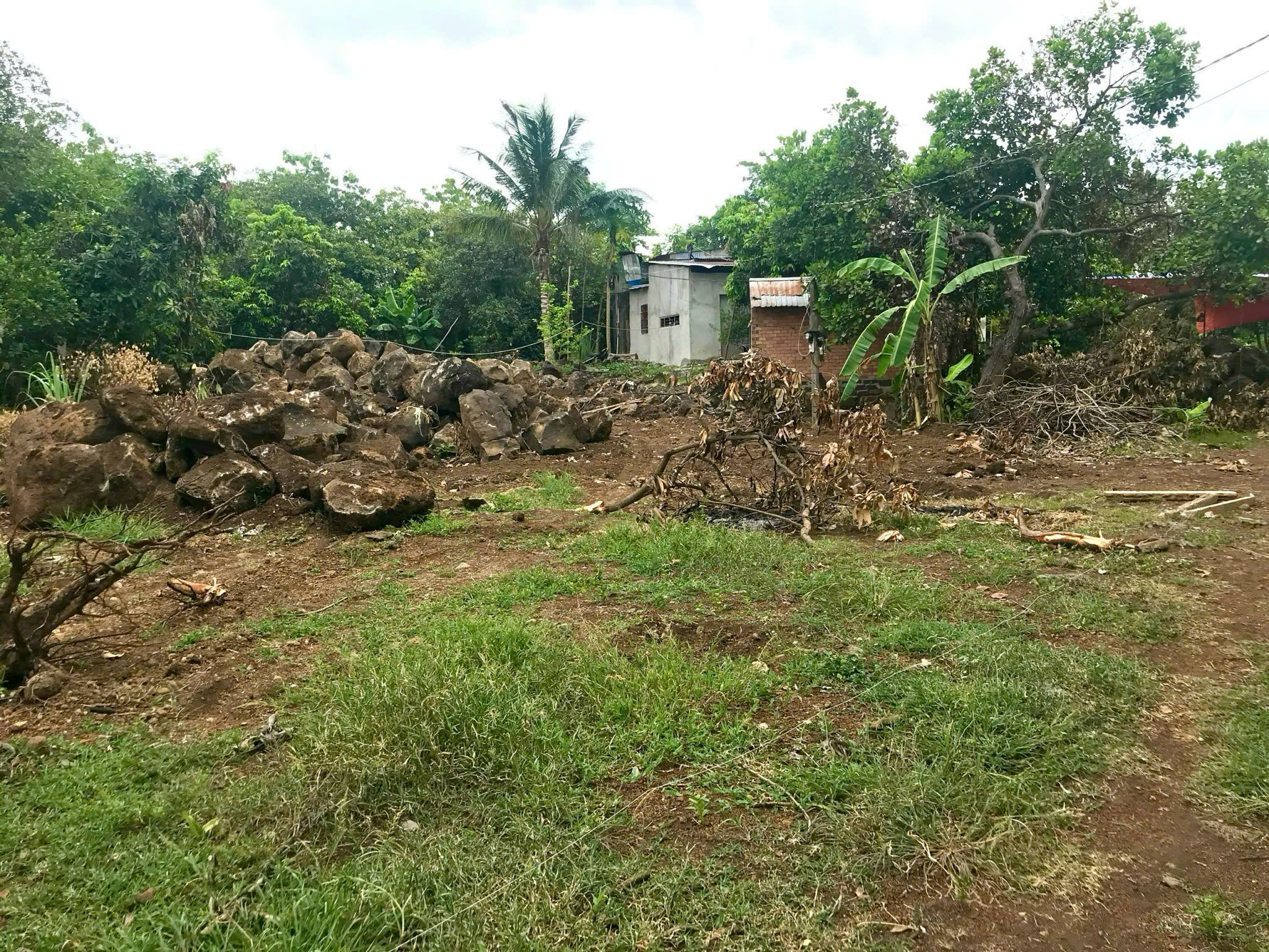 CHÍNH CHỦ BÁN GẤP ĐẤT TRỒNG CÂY LÂU NĂM 1.000M² TẠI ĐỊNH QUÁN, ĐỒNG NAI – GIÁ CHỈ 650 TRIỆU-2