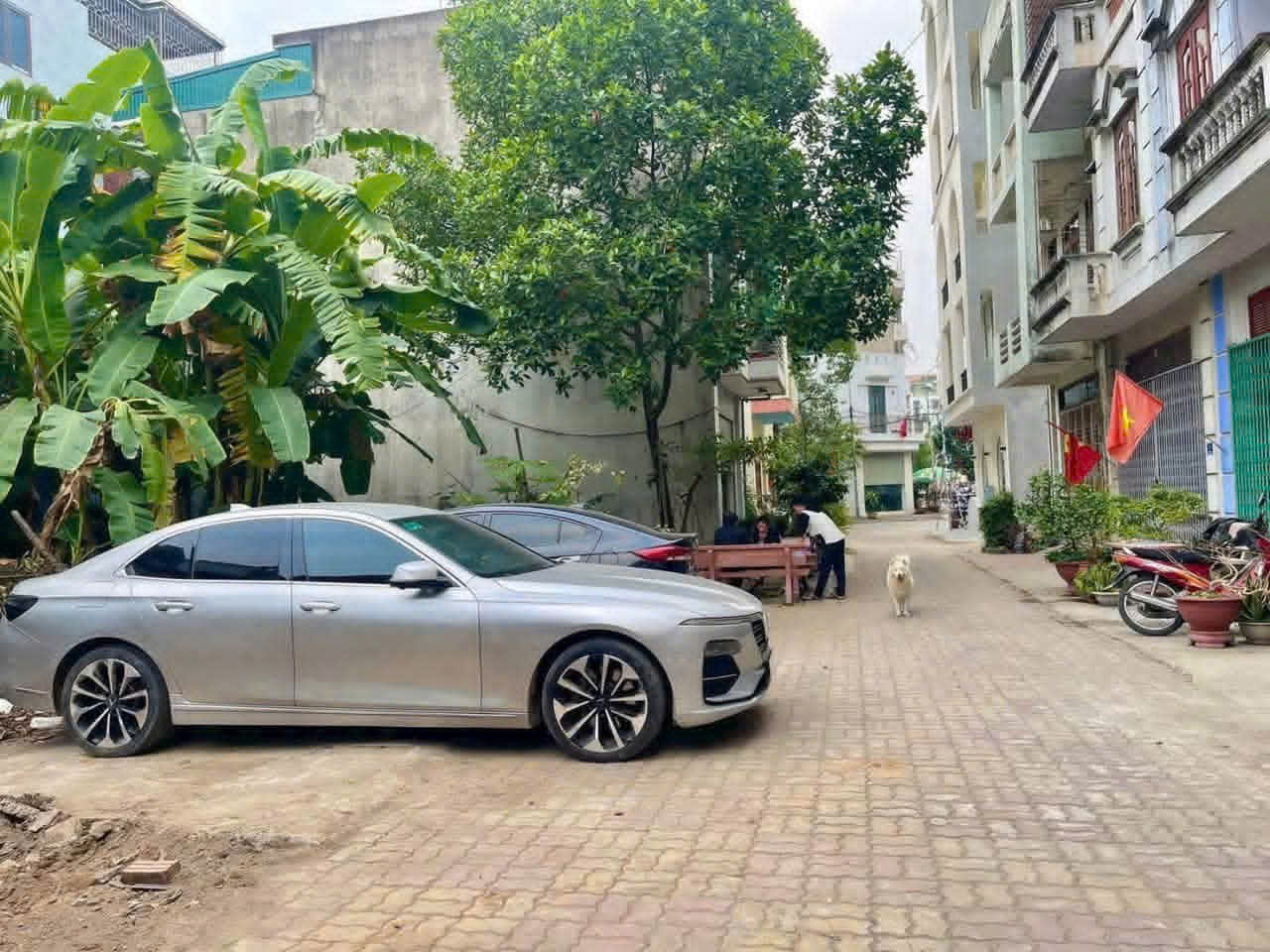 🌵Chính chủ gửi bán lô đất khu phố Đặng Tất - Tân Bình - tpHD cũ . -4