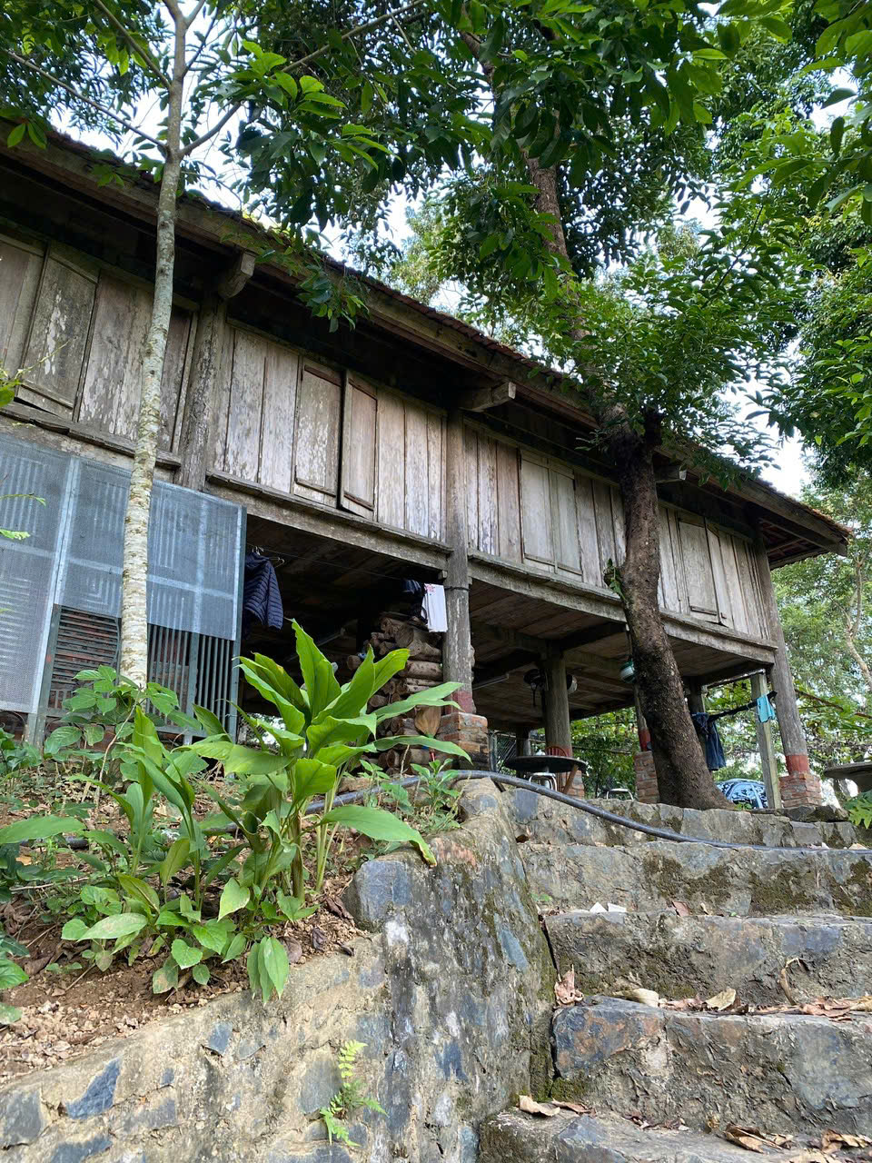 CHÍNH CHỦ BÁN GẤP TRANG TRẠI 12.415,7m² TẠI PHƯỜNG THỐNG NHẤT, TỈNH PHÚ THỌ – CHỈ CÁCH HÀ NỘI KHOẢNG 70KM-3