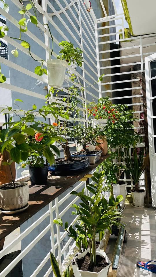♣ Nhà gần Mặt Tiền Phạm Văn Nghị, Chợ Tân Lập, 2 tầng sạch đẹp 2.x tỷ vừa-3