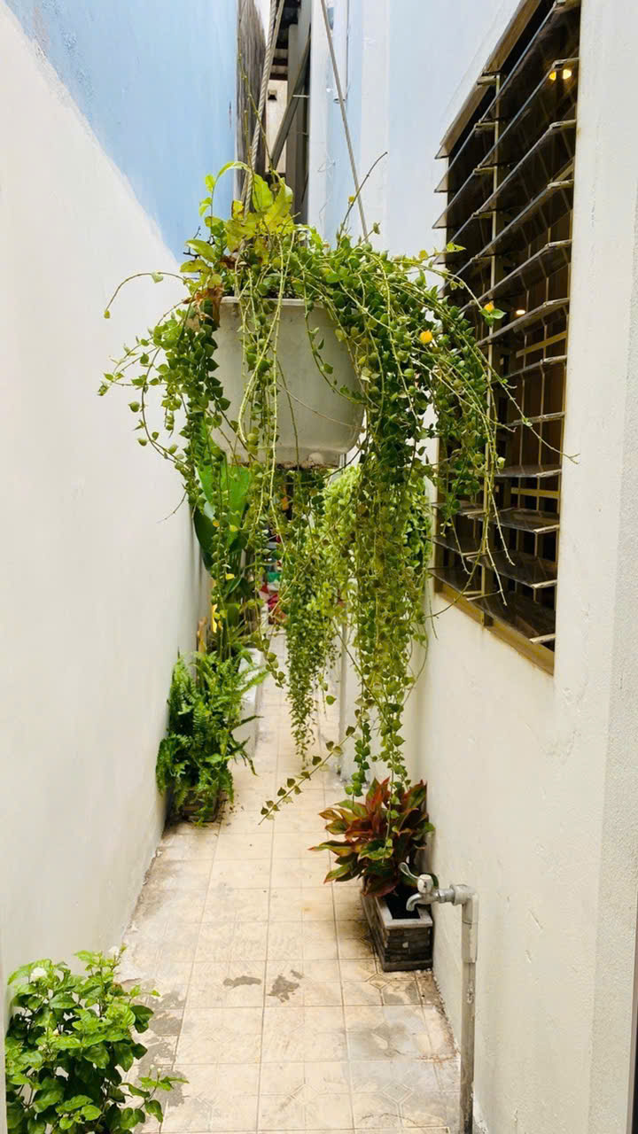 Bán nhà Hoà Hưng, 2 tầng, 3.4x14.5m, DT công nhận 52m², giá 6.35 tỷ TL