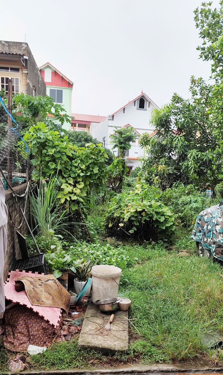 ĐẤT CHÍNH CHỦ- GIÁ TỐT BÁN NHANH LÔ ĐẤT VỊ TRÍ ĐẮC ĐỊA tại huyện Mê Linh tp Hà Nội