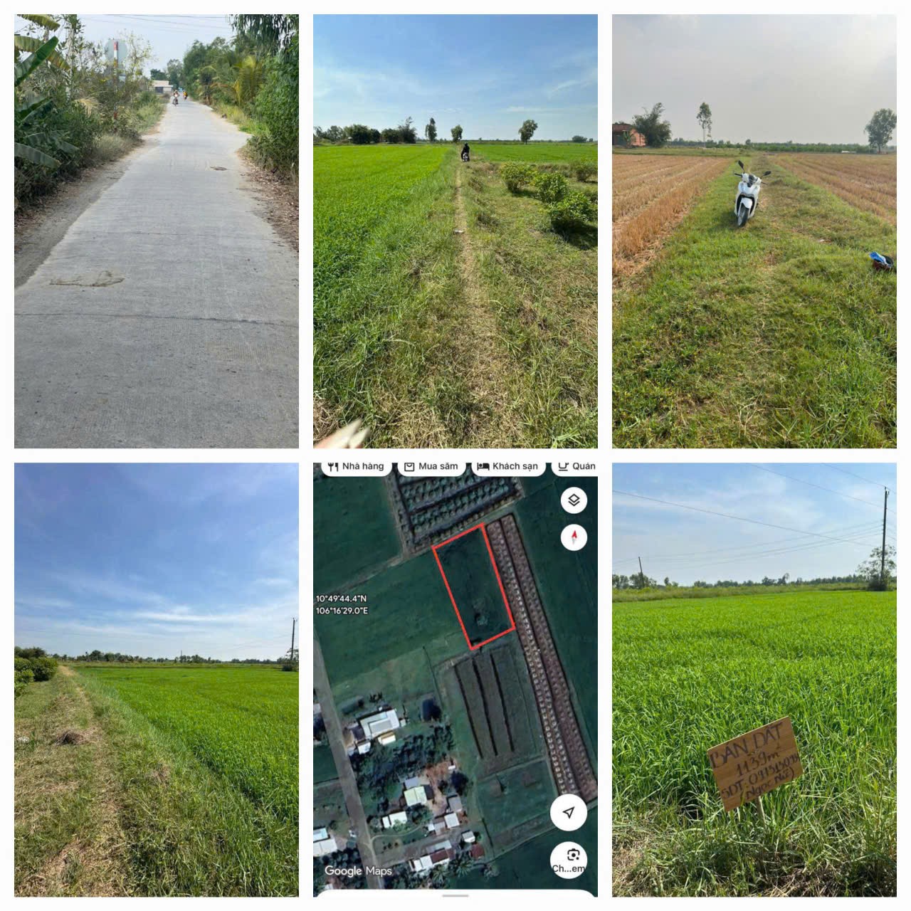 CƠ HỘI ĐẦU TƯ GIÁ TỐT - Chính Chủ Bán Gấp Lô Đất Trồng Lúa Xã Bình Thành, Đức Huệ, Long An