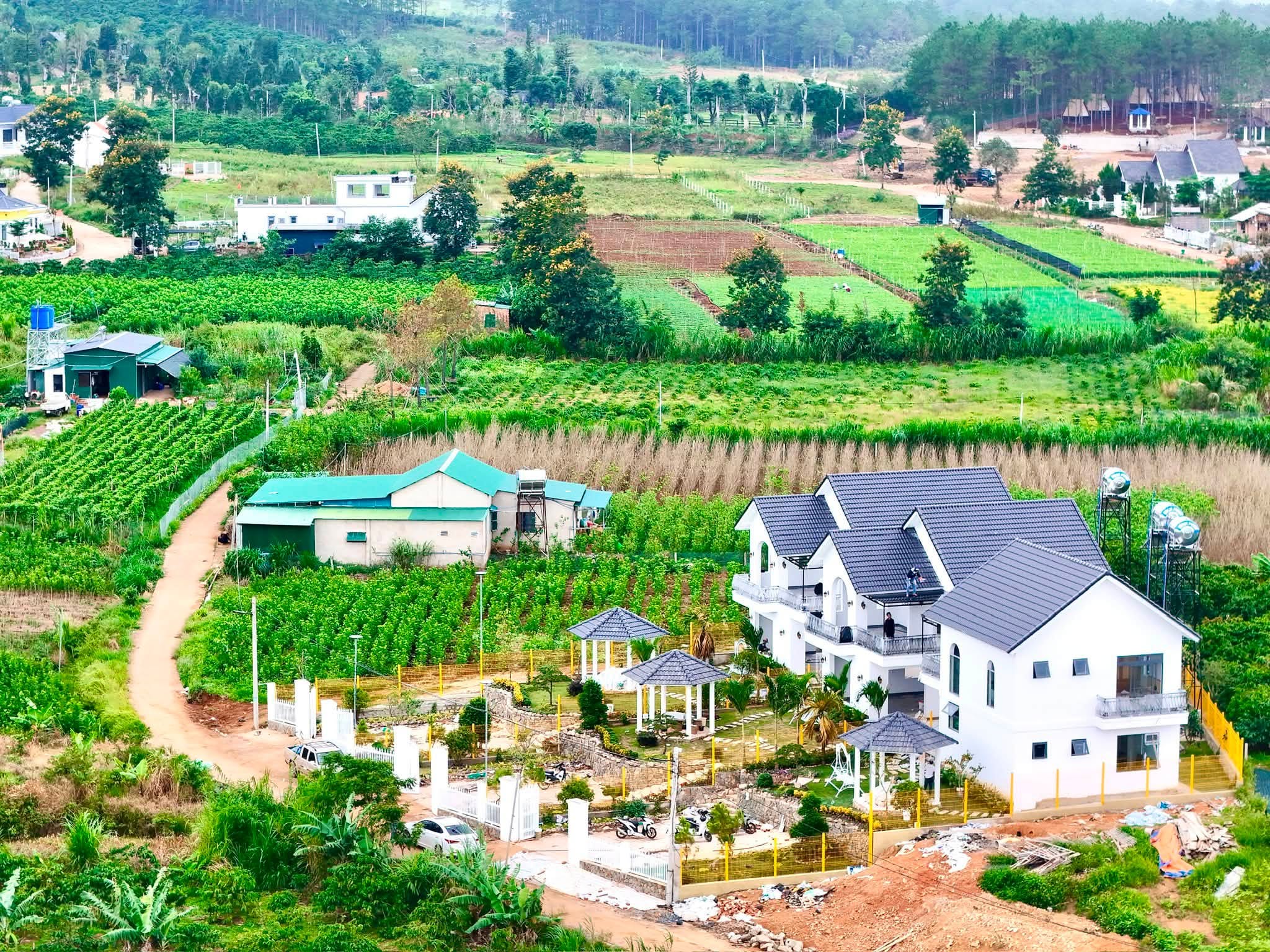 Cần Bán Biệt Thự Sân Vườn 467m² Gần Đà Lạt, Thiết Kế Hiện Đại, Sân Vườn Rộng