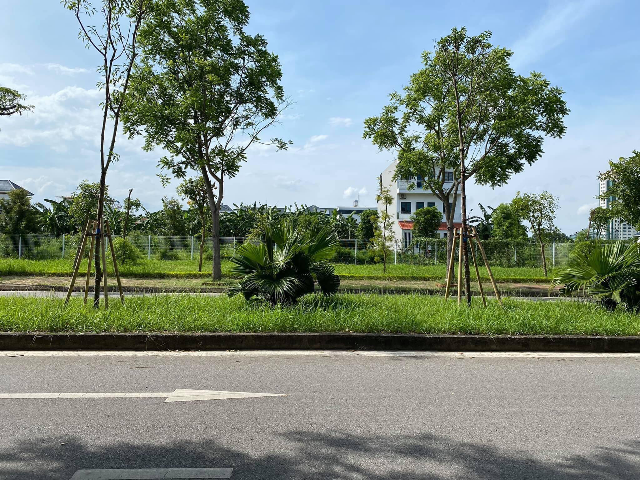 Bán đất mặt đường đôi Phạm Văn Đồng, ph Tứ Minh, TP HD, 69.8m2, mt 4.5m, chỉ 3.5x tỷ