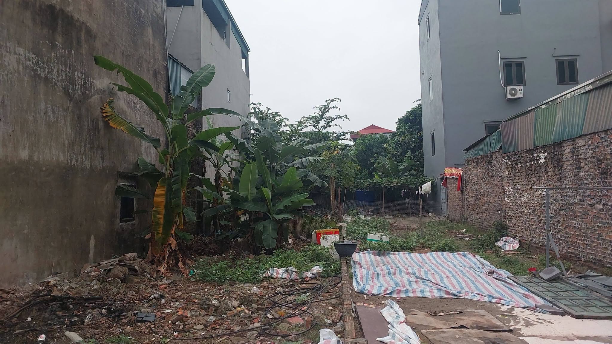 MP, KD, đất 124m2, mt5m, ô tô, 8.0 tỷ, Nguyên Khê, Đông Anh.-3