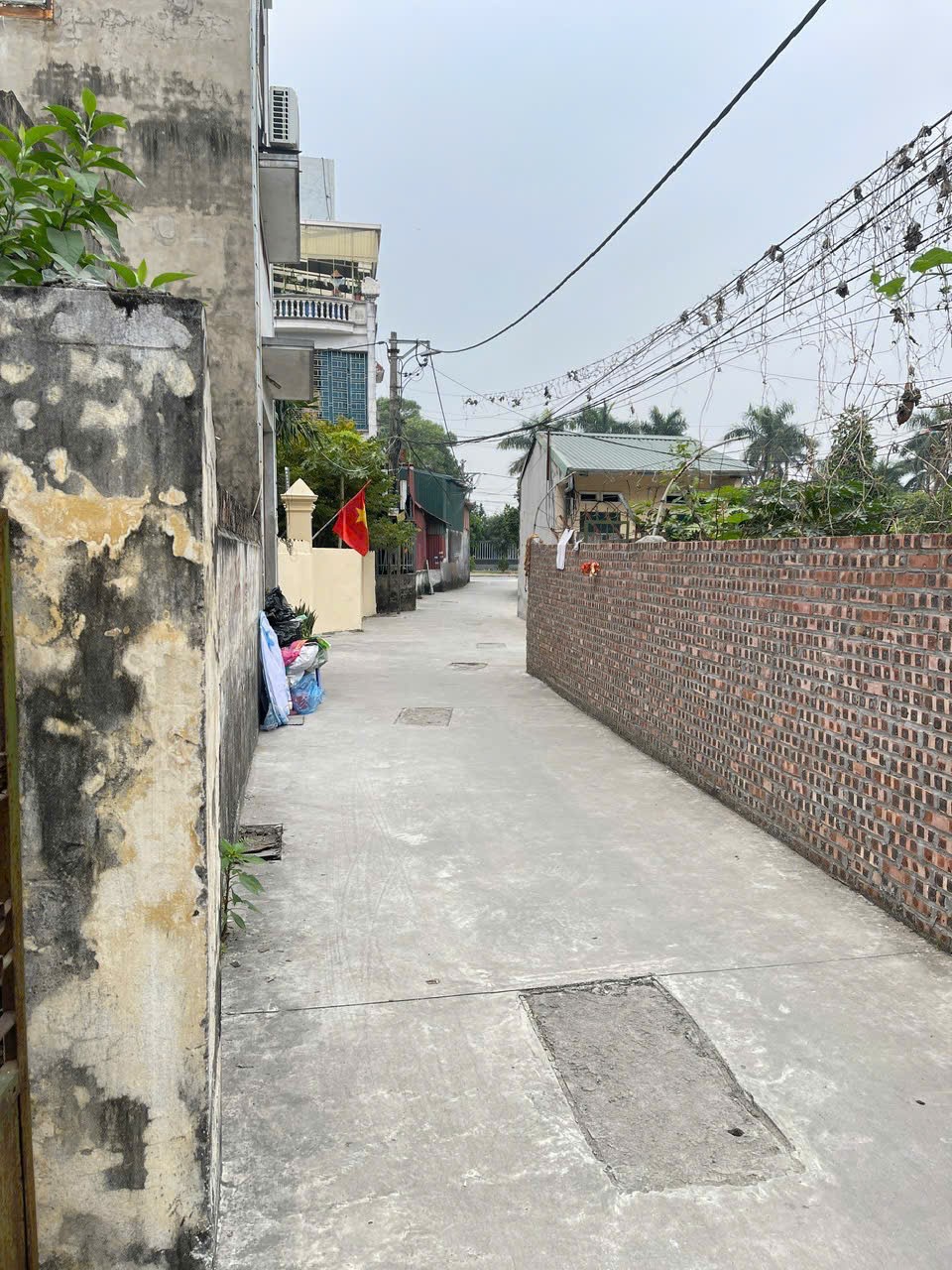 ĐẤT ĐẸP- GIÁ TỐT CHÍNH CHỦ BÁN NHANH LÔ ĐẤT TIỀM NĂNG đầu tư sinh lời tại phường Cẩm Thượng thành phố Hải Dương-4