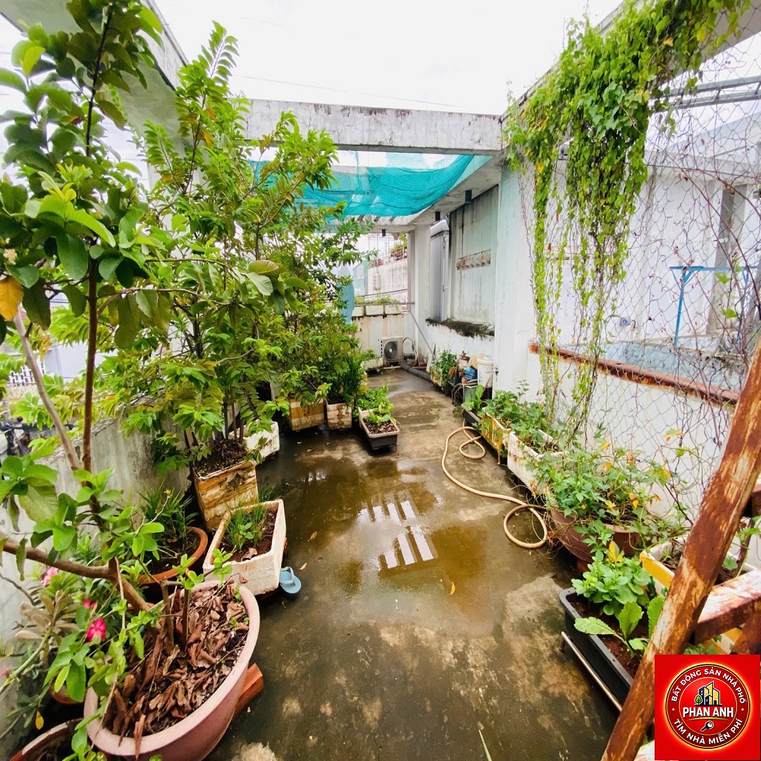 Nhà mặt tiền Phước Long – Ngay Trần Thị Điệu – Xây mới 1 hầm 6 tầng – Chỉ với 10 tỏi hơn tí…-5
