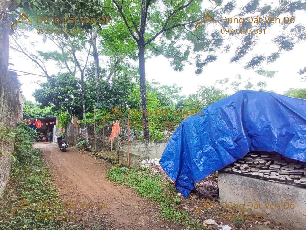 131M ĐÔNG PHƯƠNG YÊN-CHƯƠNG MỸ-HÀ NỘI