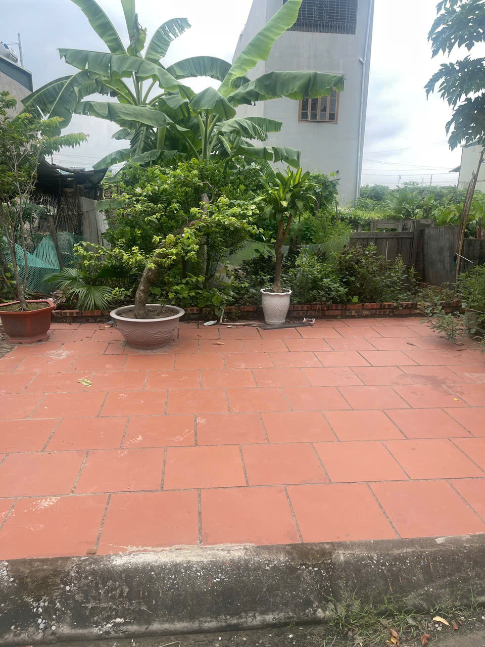 ĐẤT PHÂN LÔ – LÀN 2 QL287 – QL295  Ô TÔ TRÁNH  VỈA HÈ RỘNG-4