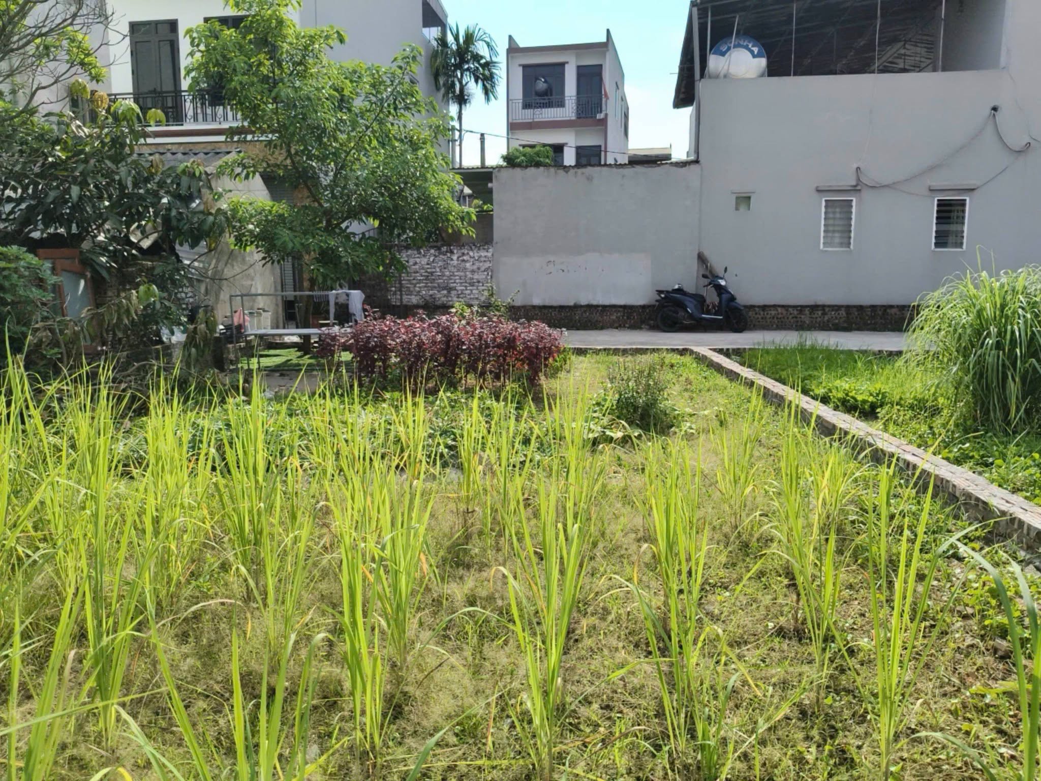 Lõi Vin Bắc Hồng, 95m2, mt5m, 6.25  tỷ, ô tô to, bìa làng, Bắc Hồng, Đông Anh.