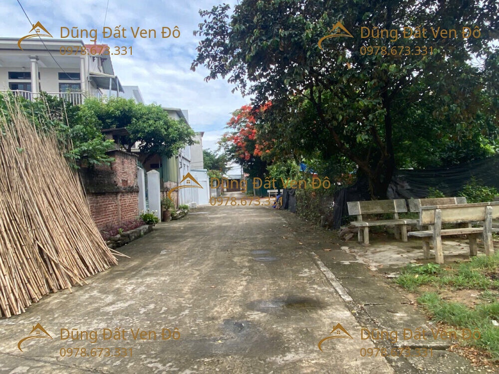 81M TRƯỜNG YÊN-CHƯƠNG MỸ-HÀ NỘI